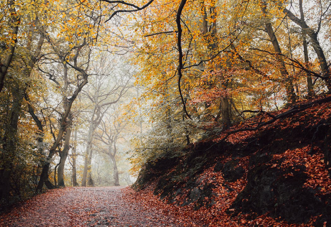 轮子？嗯 thumbnail