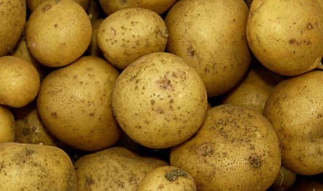 감자의 실험실 thumbnail