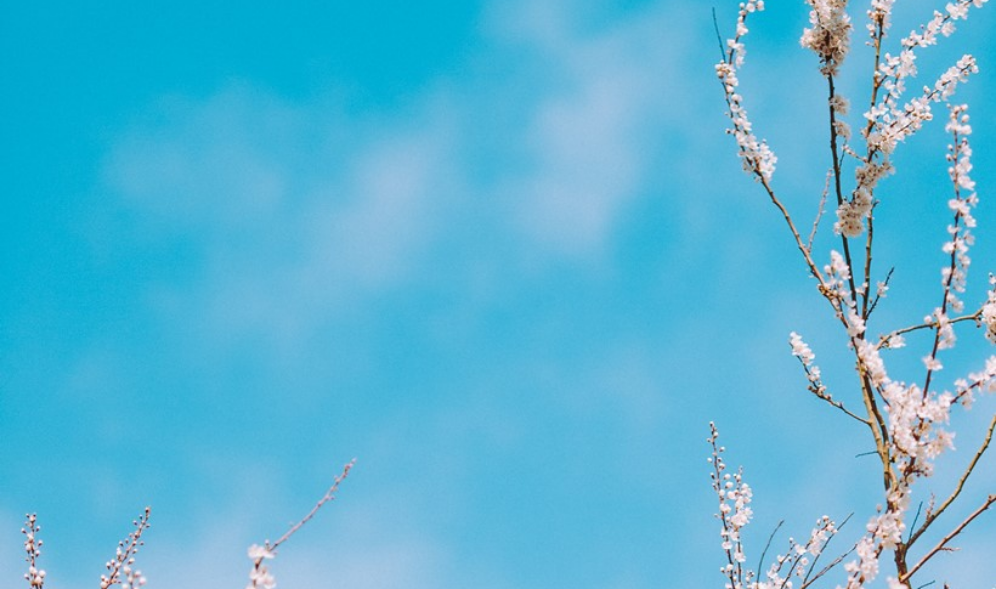 일진이 나를 좋아하는데 어떻해?.. thumbnail