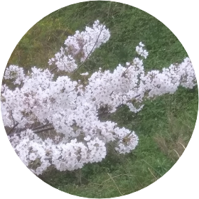 작가)스타별빛 image