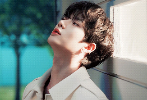 인어의 꿈 thumbnail