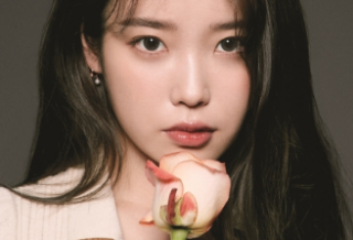 Helichrysum: Don't touch me. thumbnail