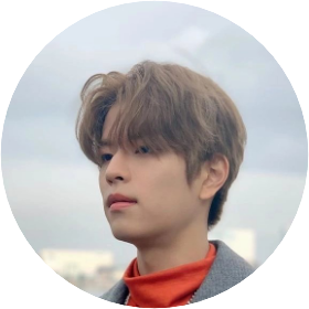 Seungmin image