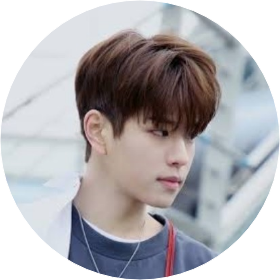 Seungmin image