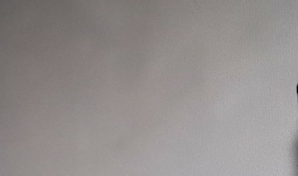 팬플에 있는 모든분들께 thumbnail