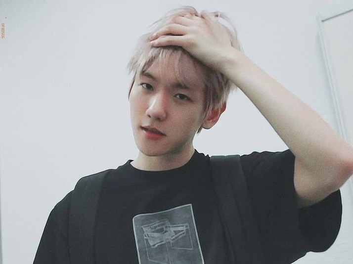 보보 타이거 🐯 thumbnail