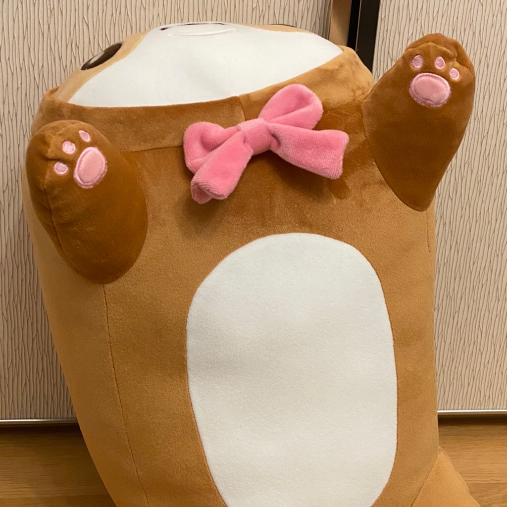 햄곰 image