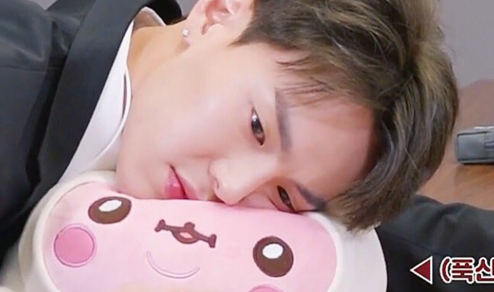 不治病にかかったヌヌクマとショヌの愛の話 thumbnail