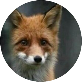 불여우/구미호 image