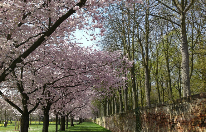 ユタモール thumbnail