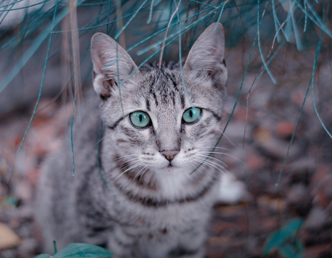 진과 함께 상상해 보세요 thumbnail