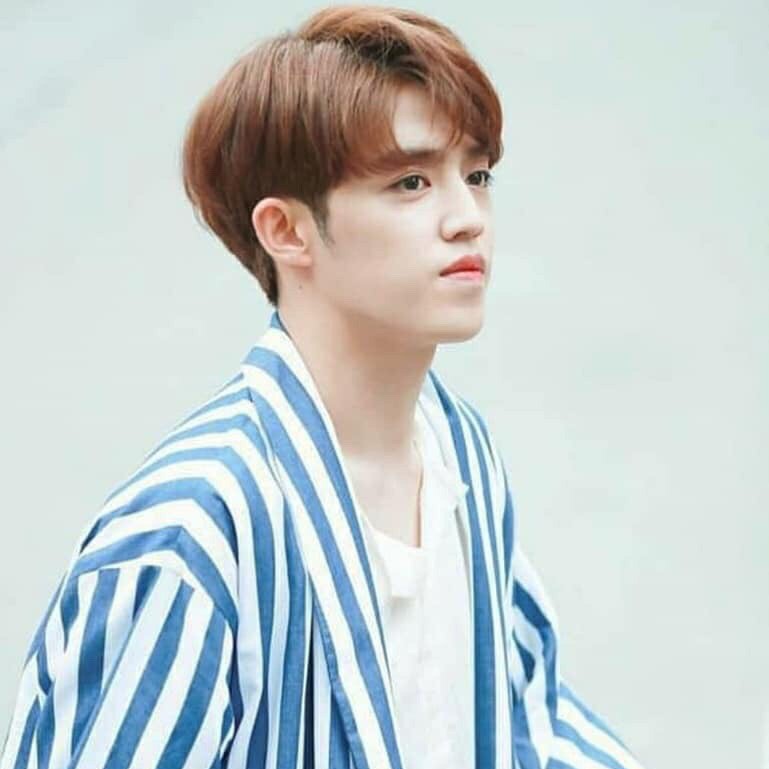 최 승 철 image