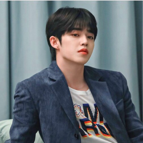 최승철 (S.coups) image
