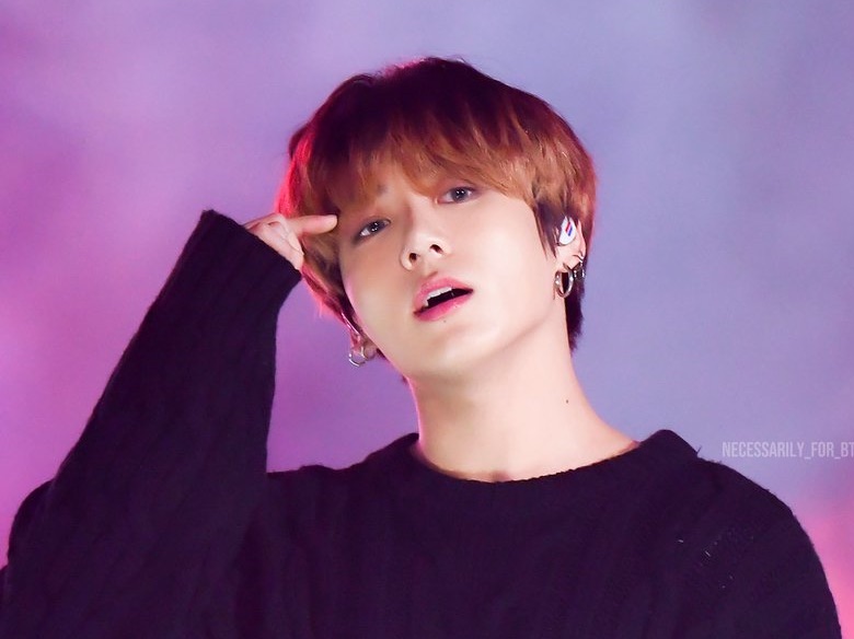 [Nacional] ¿No planeas criar un gato? thumbnail