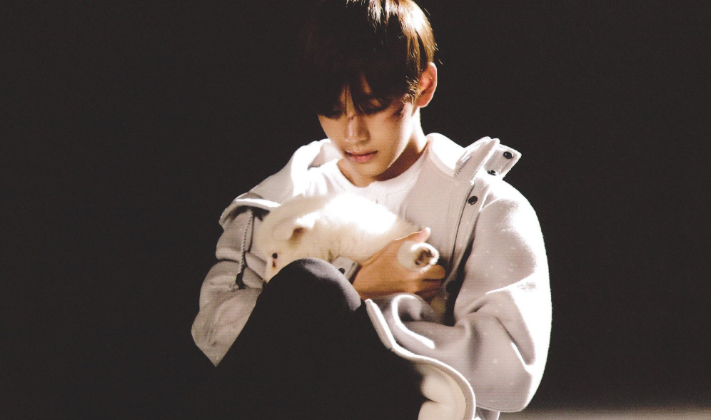 [Biru tengah malam] thumbnail