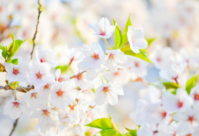 단짝친구 thumbnail