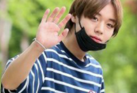 여우가 꼬리치다 thumbnail