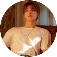 이찬(디노) image