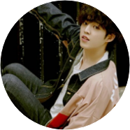 최승철(S첫째) image