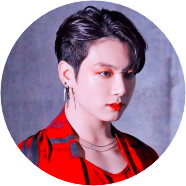 전정국(불) image
