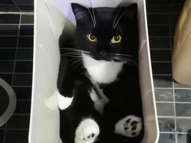 보지 마세요 thumbnail