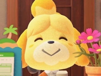 스이스페 thumbnail