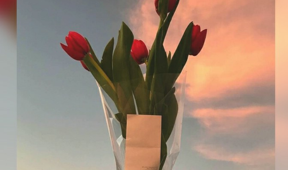 Empezamos con rosas thumbnail