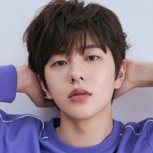 Bomin image