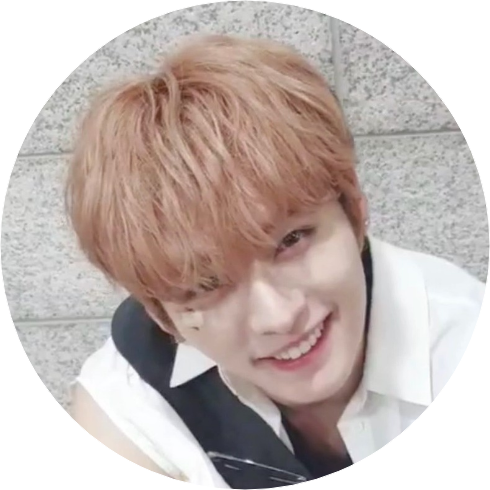 lee know image