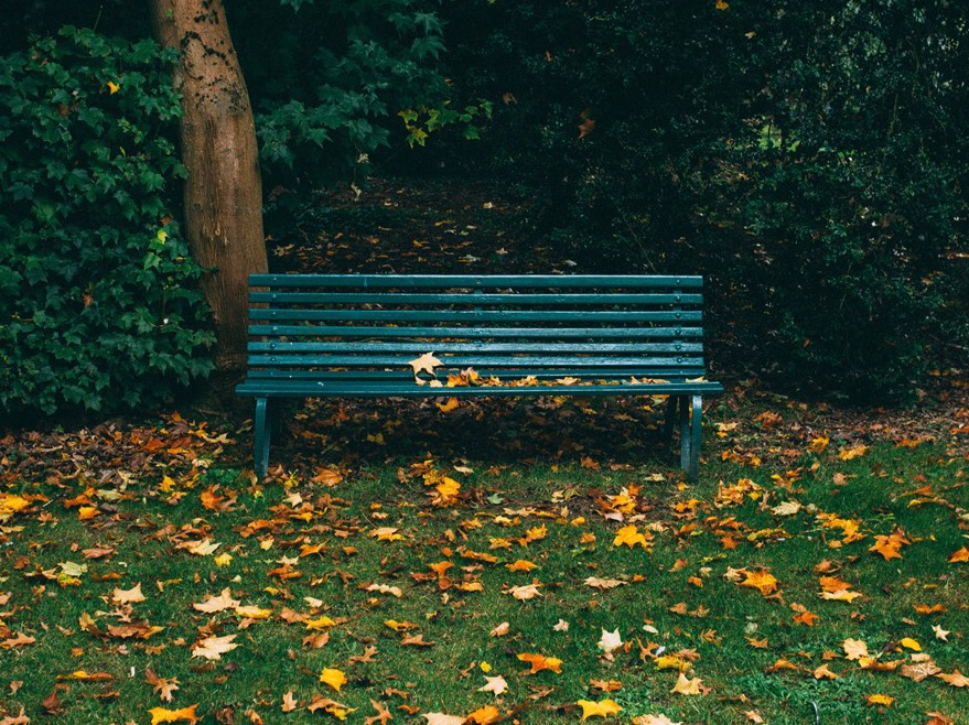 Tôi cảm thấy cô đơn quá thumbnail