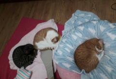 SoonDoongDo thumbnail