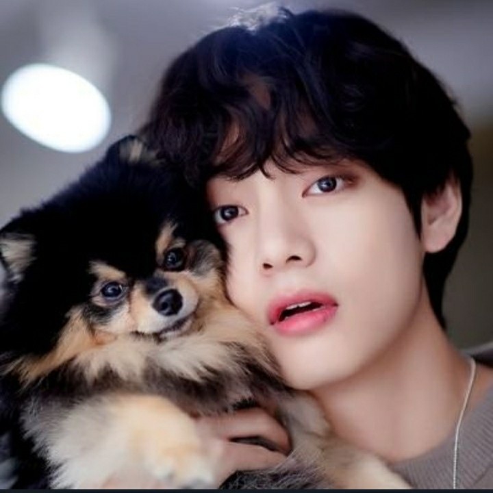 김태형 image