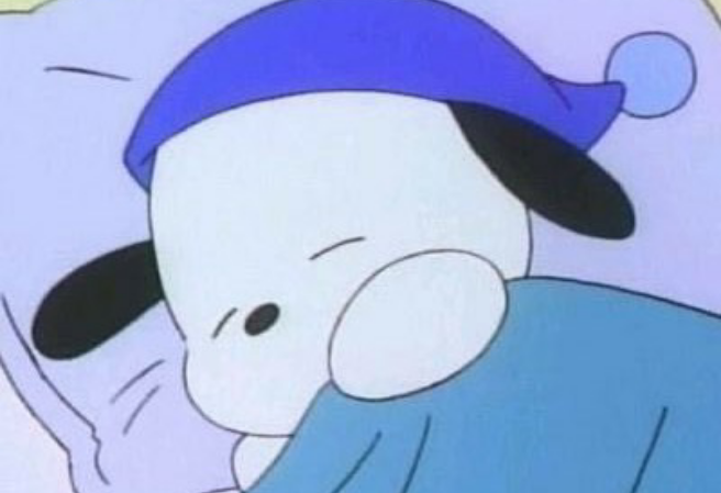 Kumohon izinkan aku melihat EXO sekali saja sebelum aku mati. thumbnail