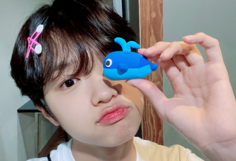 표에게 투표하세요 thumbnail