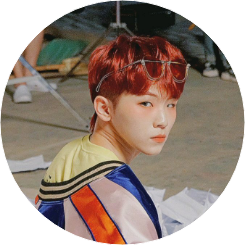 WOOZI image