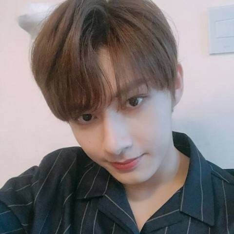 just don’t text him image