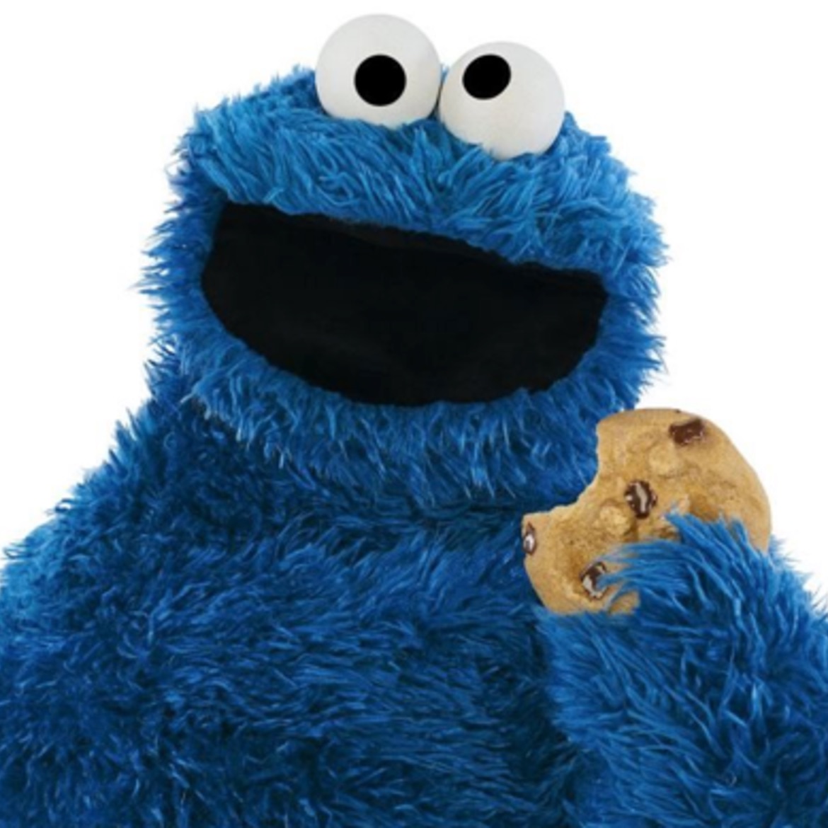 Cookie Monster image