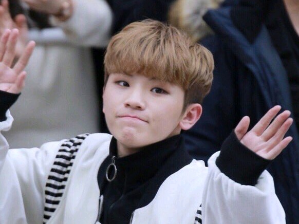 Woozi image