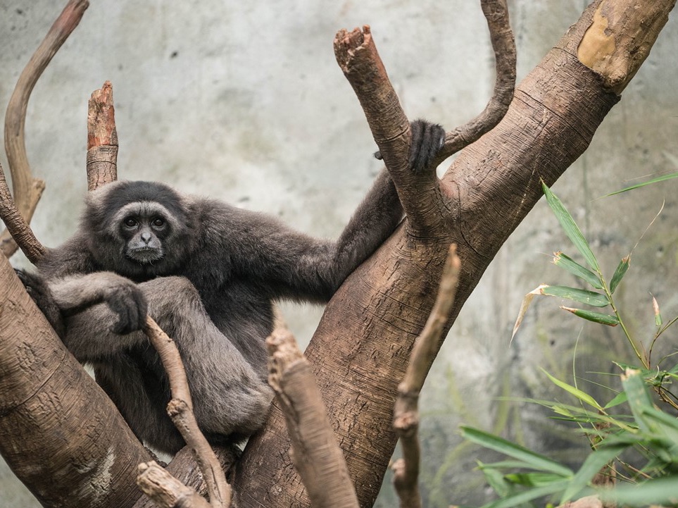 진지한 팬픽이 아닙니다 thumbnail