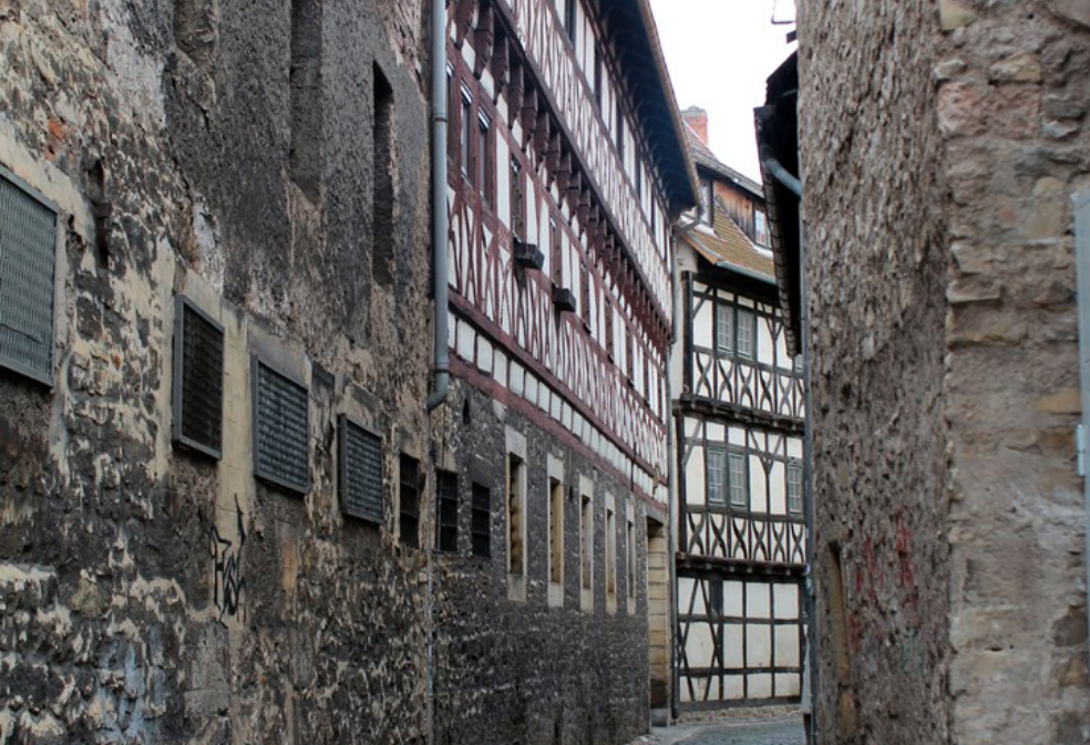 Con gái bí mật của Mafia thumbnail