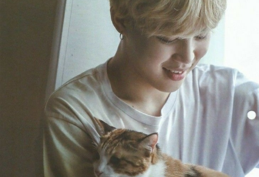 내 작은 새끼 고양이 1화 thumbnail