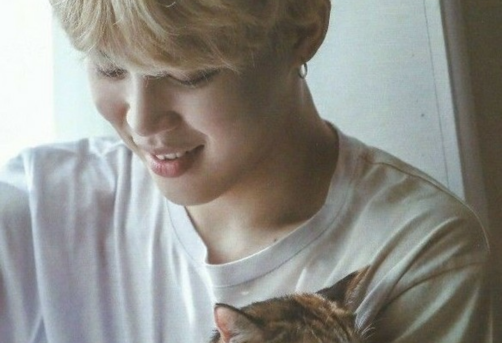 小猫咪第二集 thumbnail