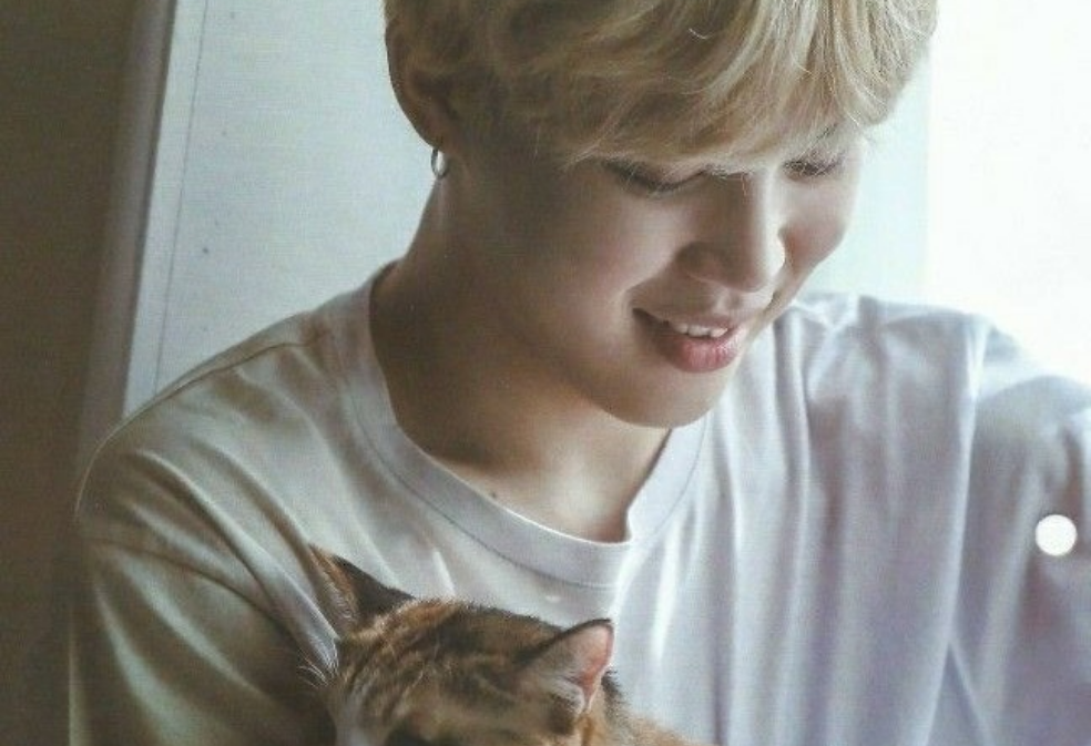 我的小猫咪（3） thumbnail