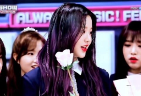 장씨 가족 & 박씨 가족 thumbnail