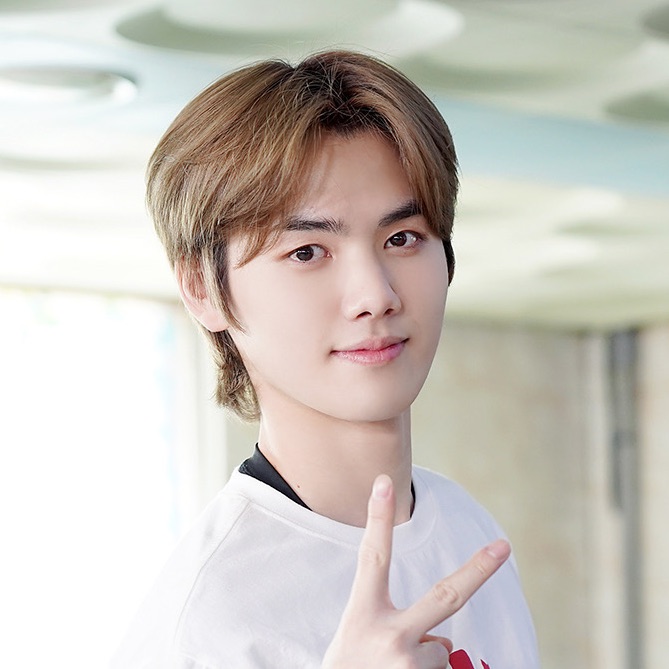 강민희(말티즈 수인) image