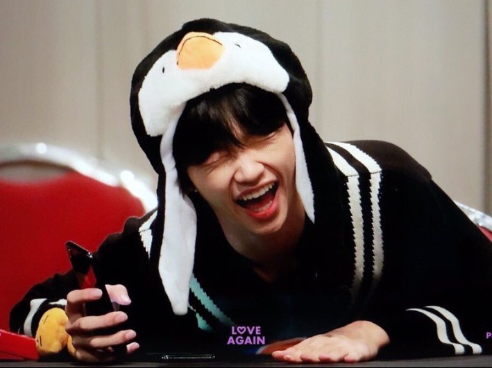 손동표( 펭귄 수인) image