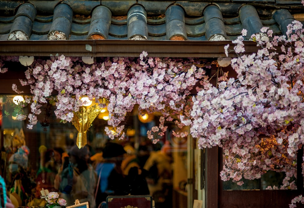 전생을 기억하시나요? thumbnail