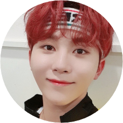 부승관 image