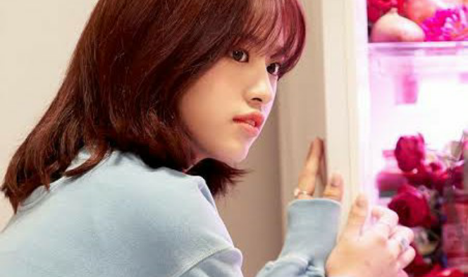 玫瑰人生 thumbnail