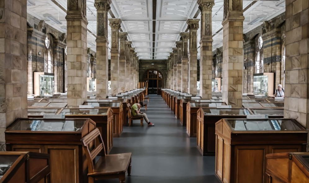 히히히히 thumbnail